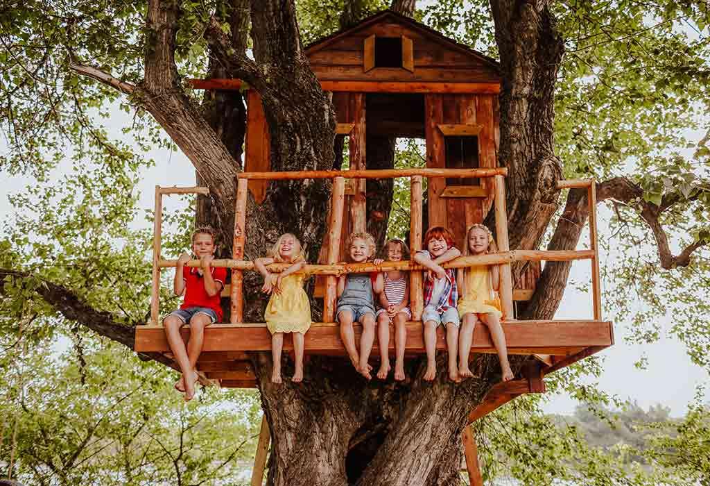 An image for the section Tree House